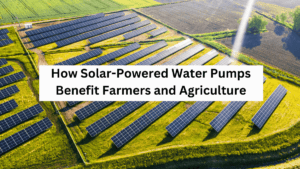How Solar-Powered Water Pumps Benefit Farmers and Agriculture